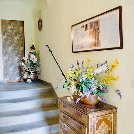 Buonaparte サン・ミニアート