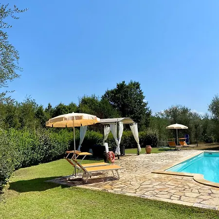 Buonaparte サン・ミニアート